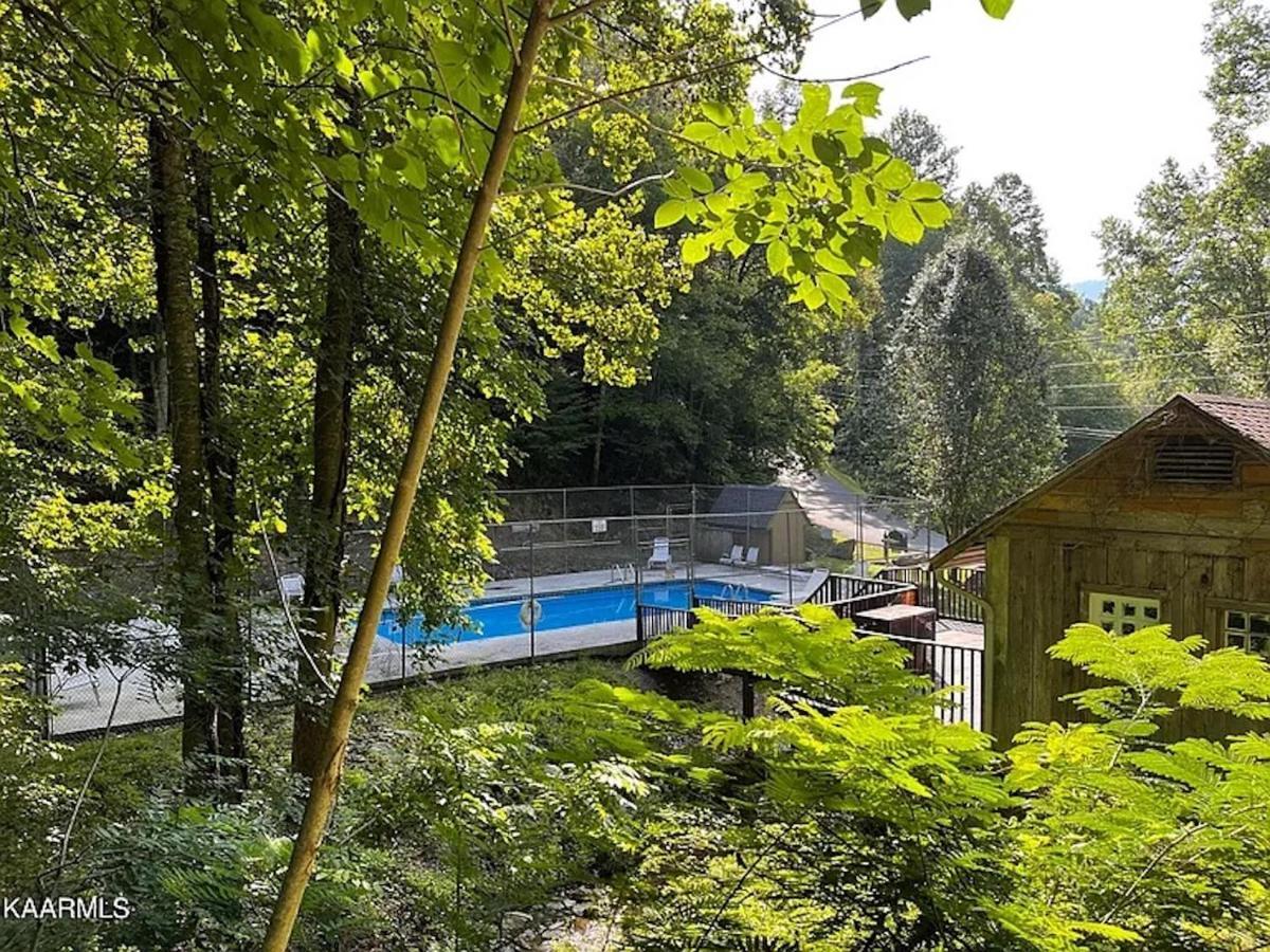 Hawks View Gatlinburg Mountain Cabin エクステリア 写真